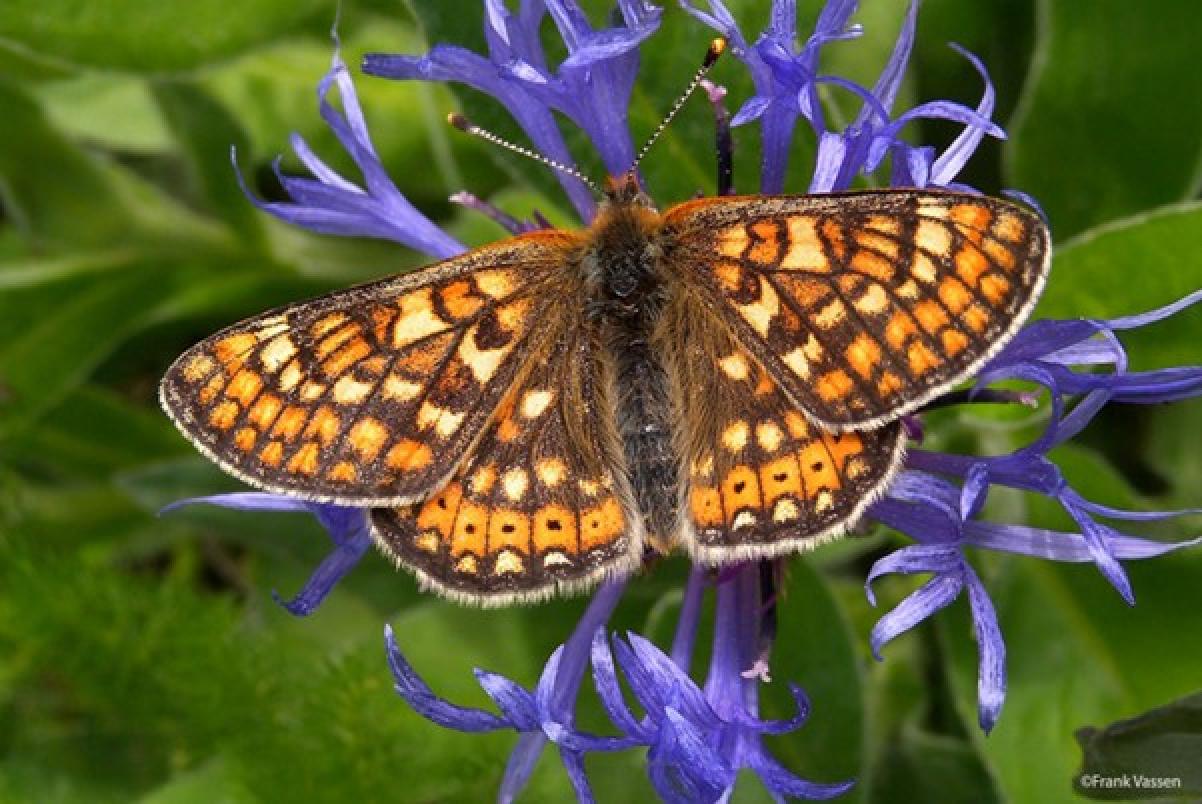 We celebrate Natura 2000 Day!