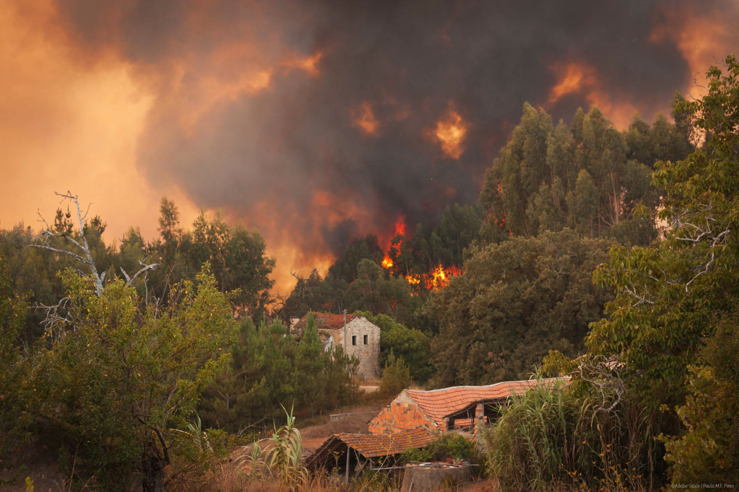 2025 was EU’s most destructive wildfire season on record