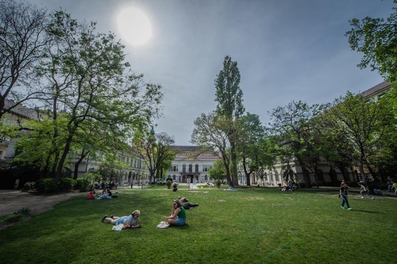 Too few urban green spaces in European cities, study finds