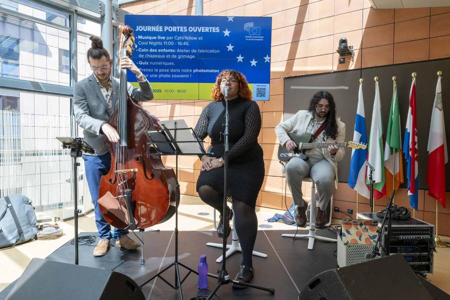 Divertissement lors des Journées portes ouvertes du CESE