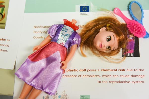 Presentation of the 2017 Annual Report on the Rapid Alert System (RAPEX)