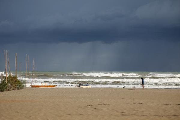 Biodiversity - Sea turtles