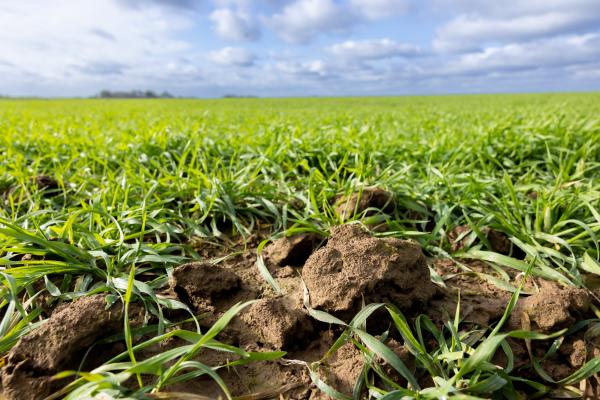 Soil health