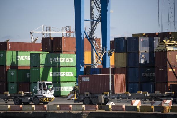 Visit of Adina Vălean, European Commissioner, to Romania