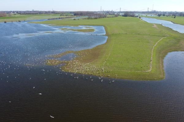 LIFE Wetland Emmerich - The LIFE Programme project