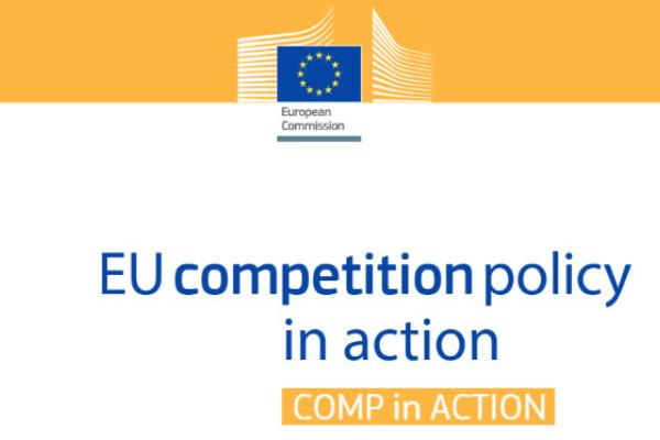 Competition policy in action (2017)