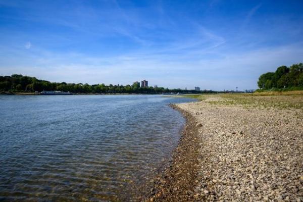 The dried-up bank of the Rhine River