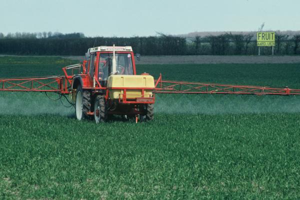 Agriculture and the environment: Intensive use of pesticides and fertilizers are one of the main causes of underground water polution.