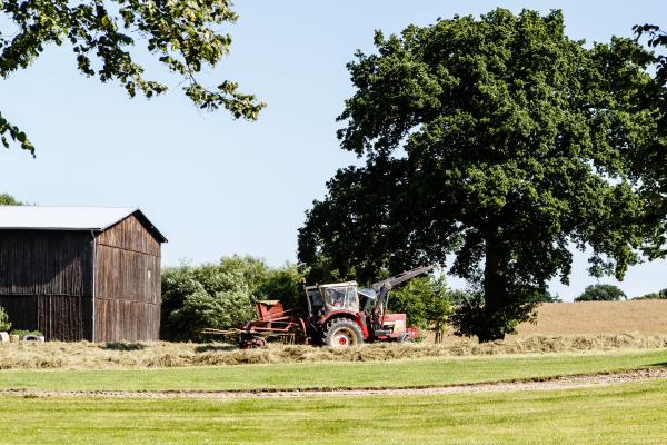 A tractor next to a barn and a tree