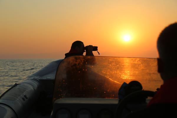 Sunset shot of man looking through his binoculars out into the sea