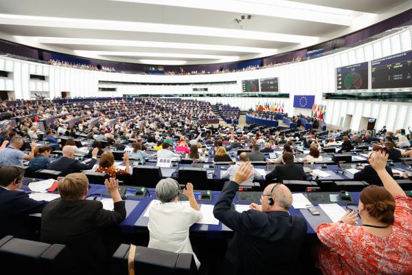 MEPs seated and voting in an European Parliament plenary session