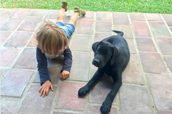 A child and a dog playing on the floor