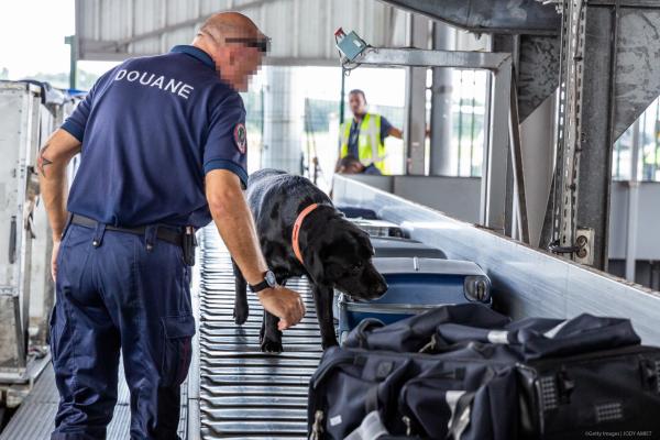 A customs officer with a sniffer dog inspects passengers' luggage prior to boarding, at the Felix Eboue Airport in Matoury, French Guiana